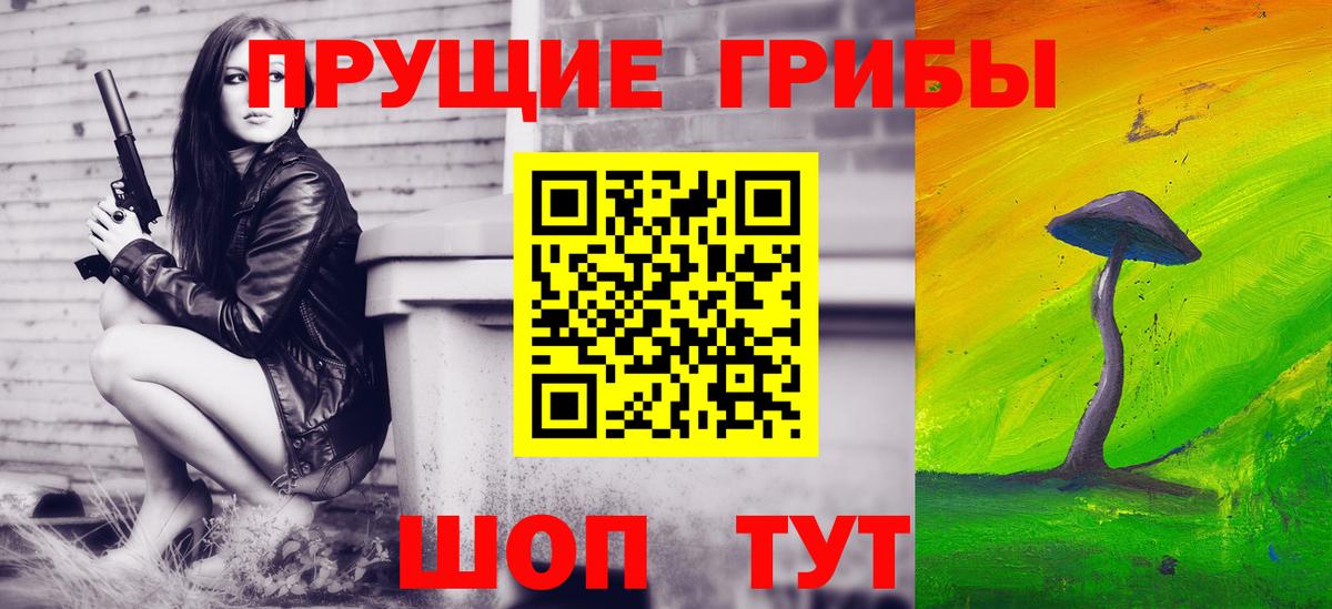 Солнечногорск  купить наркотик  Вход с VPN  Галлюциногенные грибы GOLDEN TEACHER 