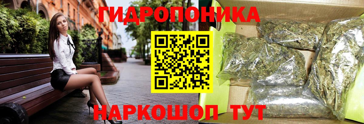 Конопля гибрид Солнечногорск